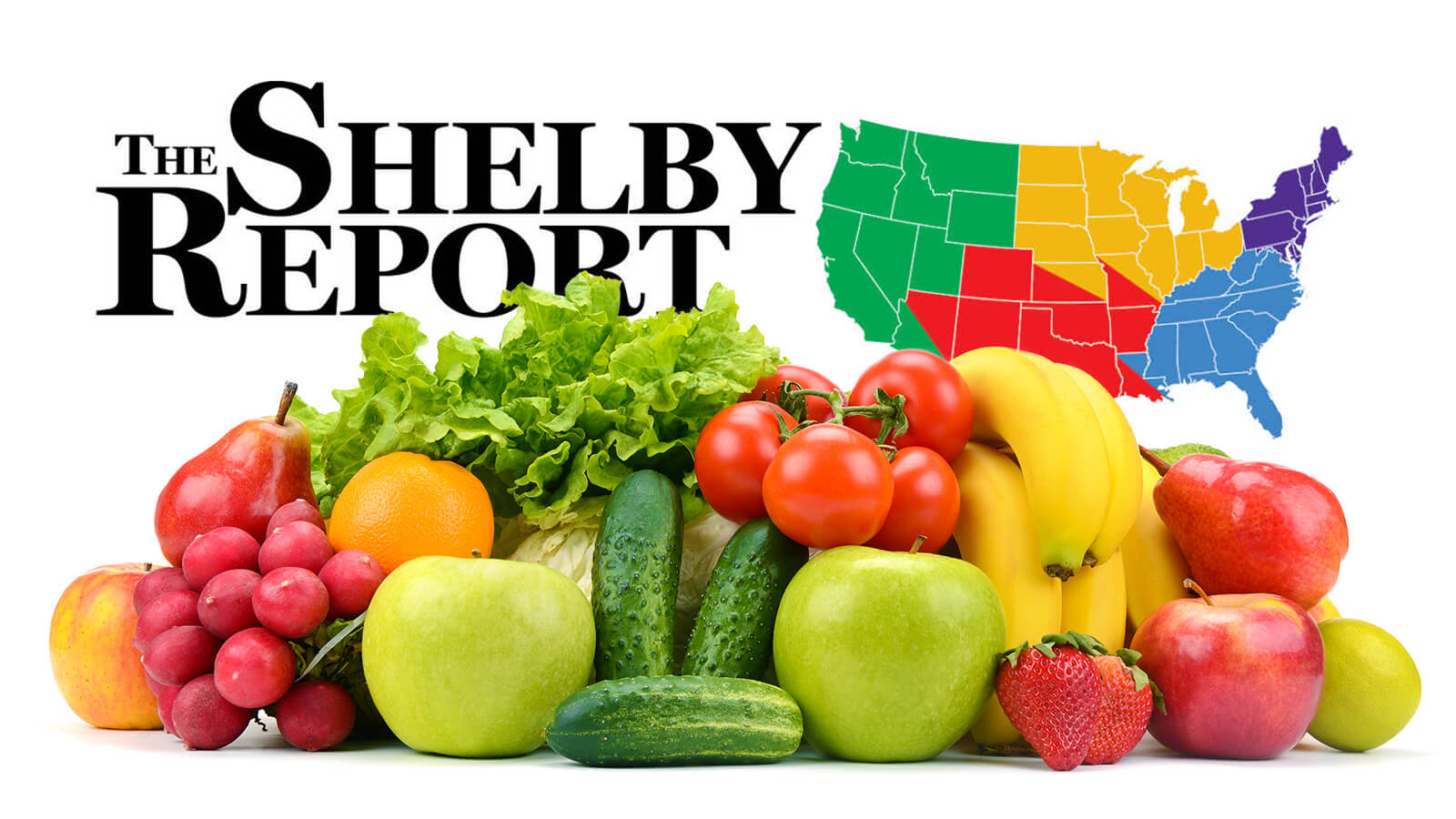 The Shelby Report Logo